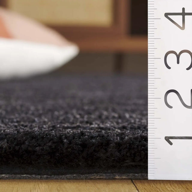 Safavieh Carmine 4'-0" x 6'-0" Rug in Black