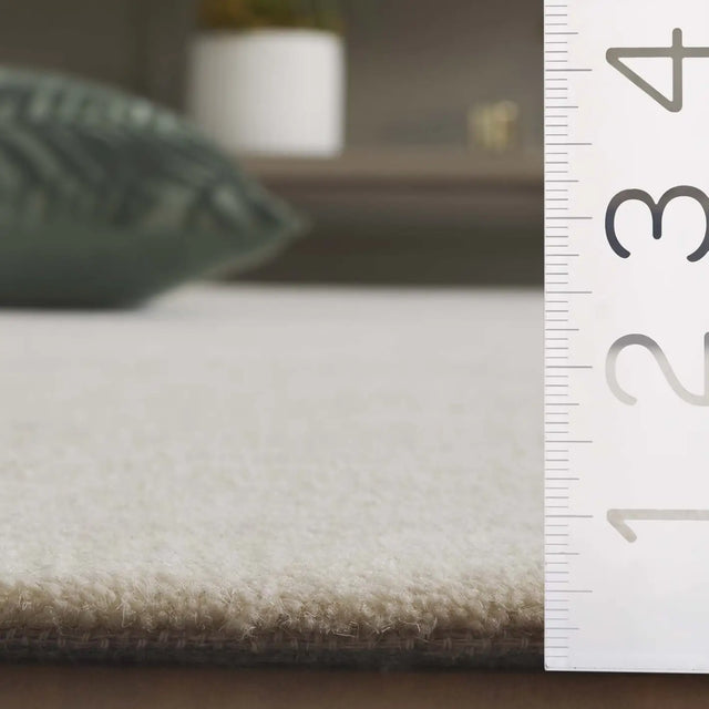 Safavieh Mykonos 4'-0" x 6'-0" Rug in Ivory / Grey