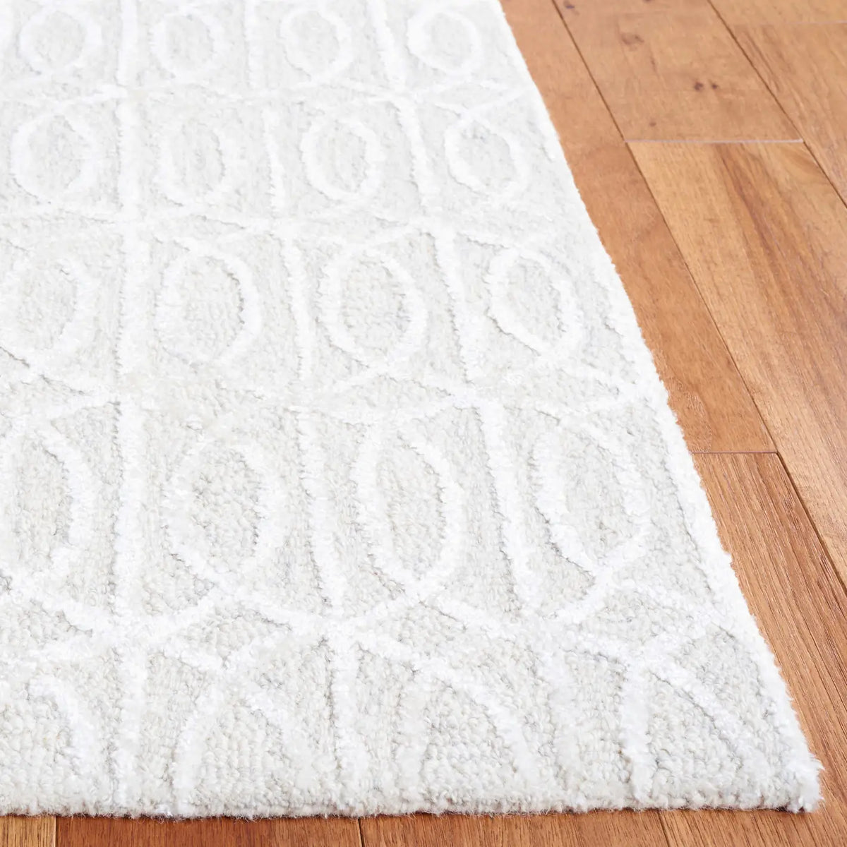 Safavieh Ebony 4'-0" x 6'-0" Rug in Beige / Ivory