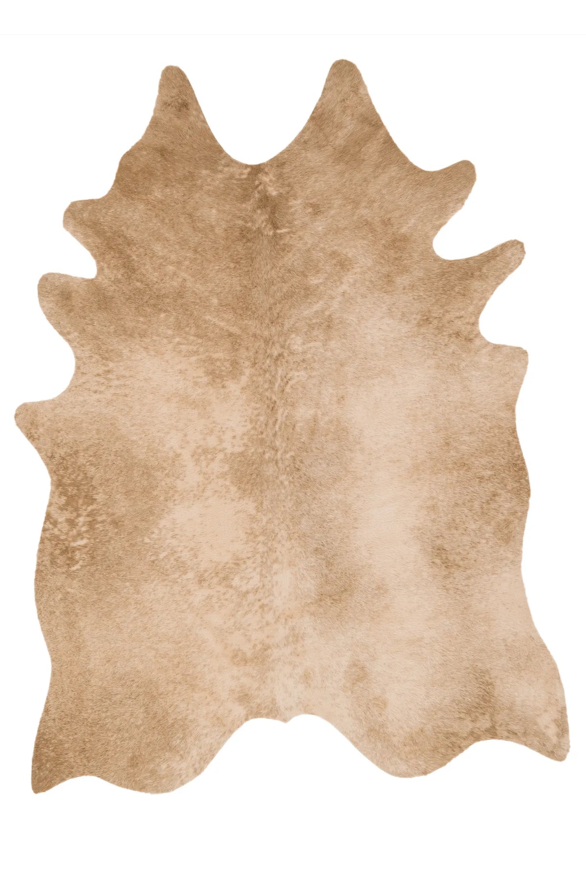 Loloi Grand Canyon Gc-09 Tan Rugs - main flat