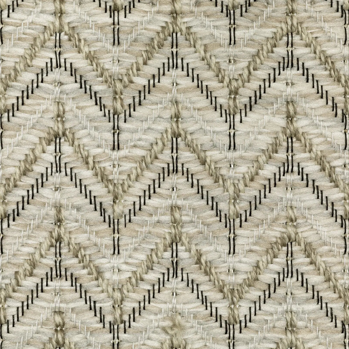 Oriental Weavers Sphinx Tortuga Tr09A Beige/ Black Rug - room scene 2