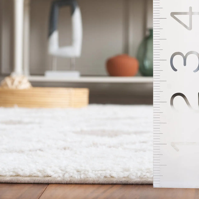 Safavieh Vermont 4'-0" x 6'-0" Rug in Ivory / Beige