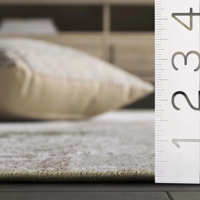 Safavieh Bayside 4'-0" x 6'-0" Rug in Ivory / Green
