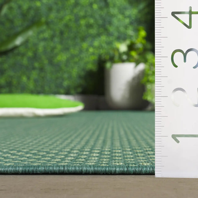Safavieh Terrace 800 4'-0" x 6'-0" Rug in Green / Ivory