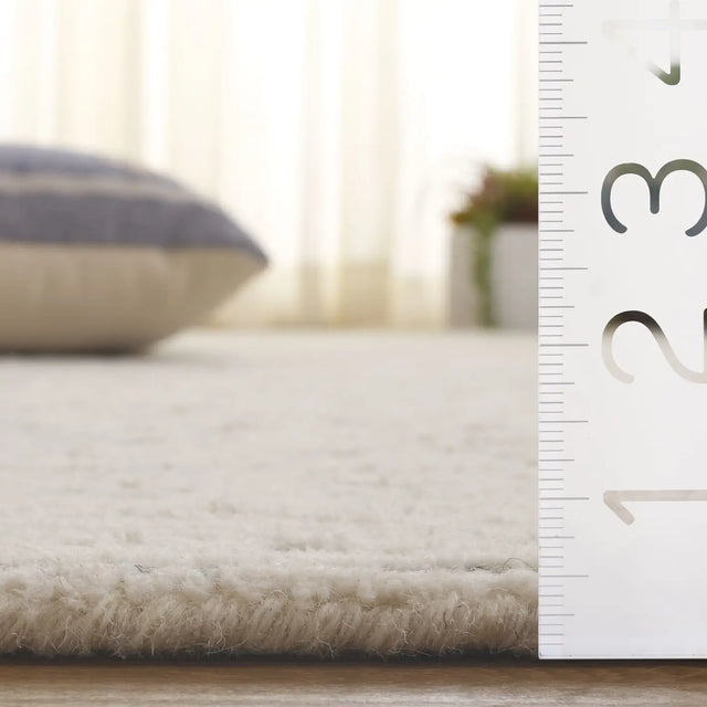 Safavieh Ebony 4'-0" x 6'-0" Rug in Ivory / Grey