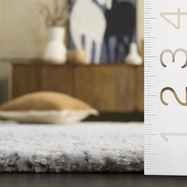 Safavieh Glory Shag 4'-0" x 6'-0" Rug in Ivory / Beige
