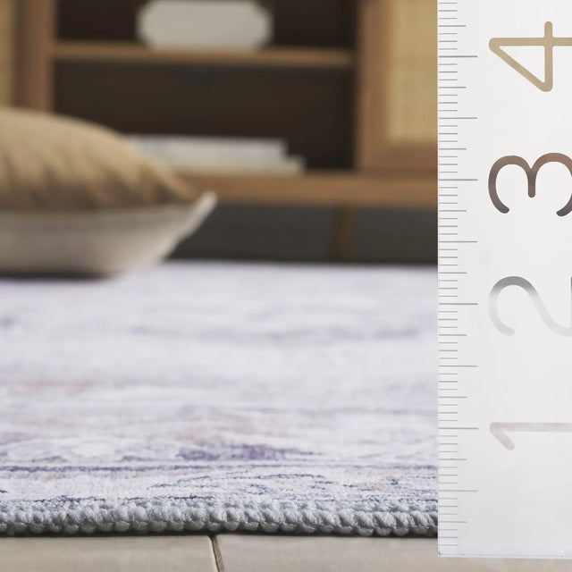Safavieh Arizona 4'-0" x 6'-0" Rug in Ivory / Grey
