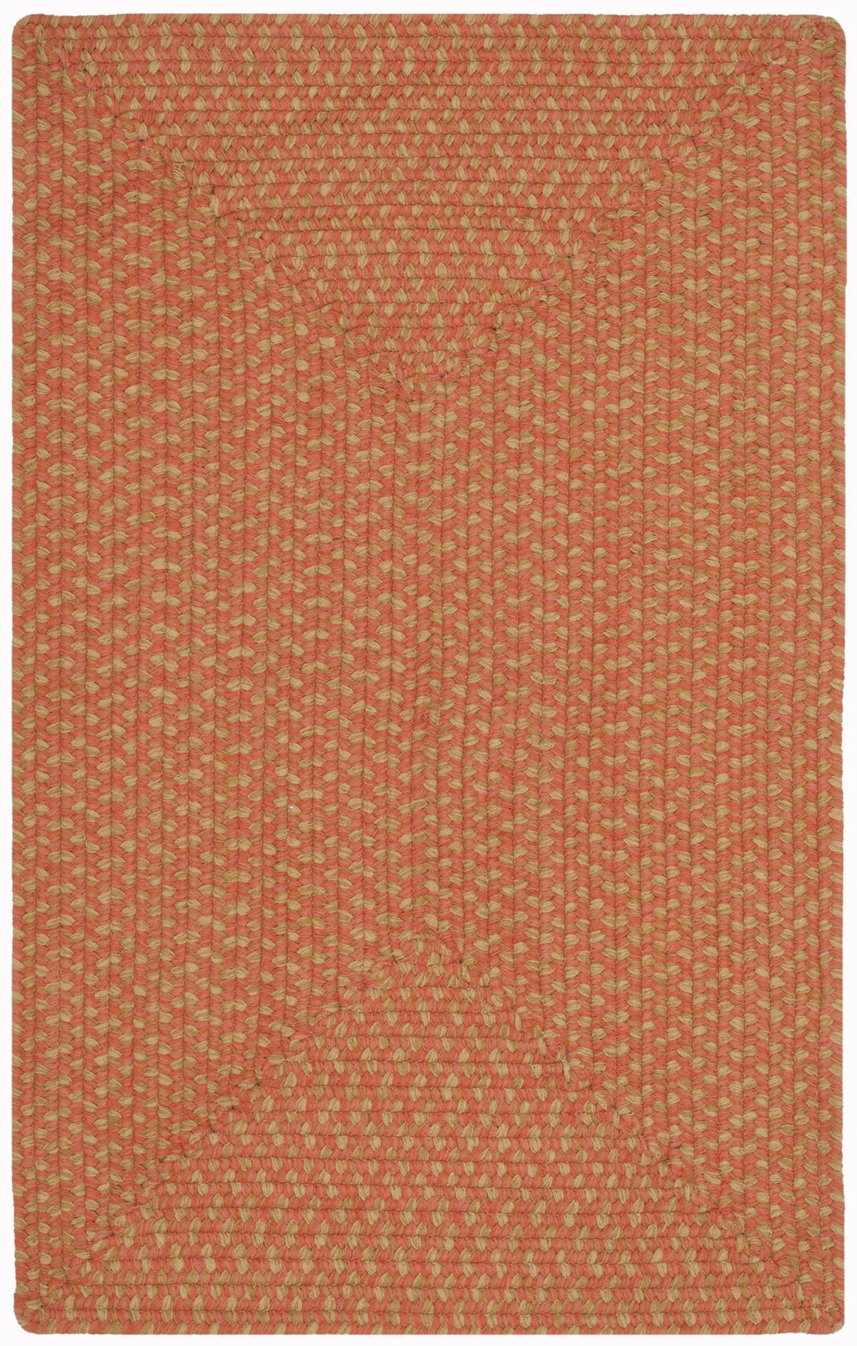 Safavieh Braided 2'-6" x 4'-0" Rug in Multi