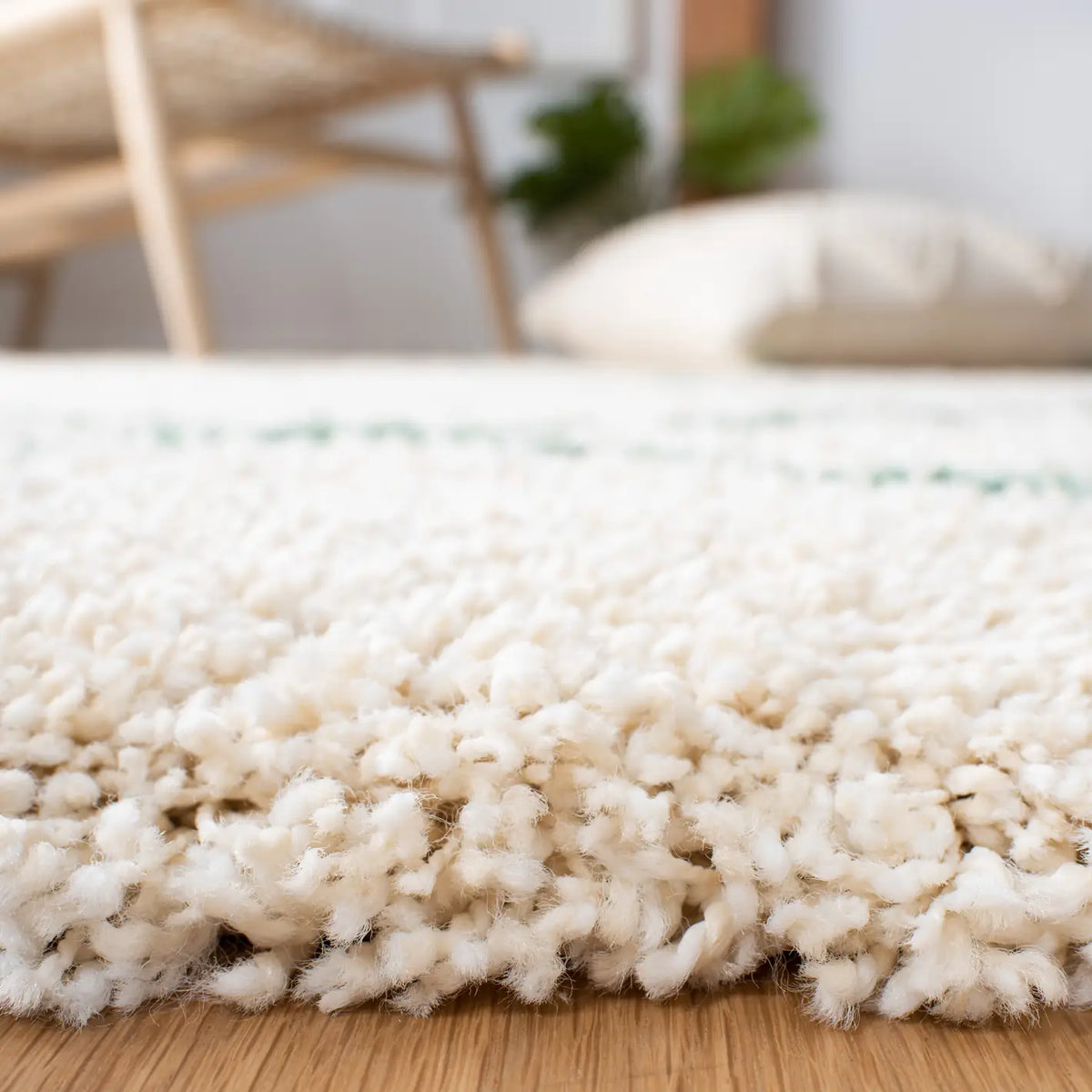 Safavieh Hudson Shag 4'-0" x 6'-0" Rug in Ivory / Green