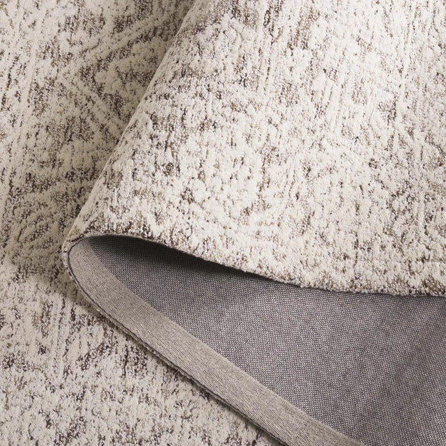 Safavieh Ebony 4'-0" x 6'-0" Rug in Ivory / Brown