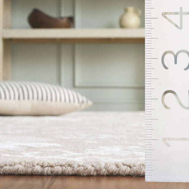 Safavieh Glamour 4'-0" x 6'-0" Rug in Beige / Ivory