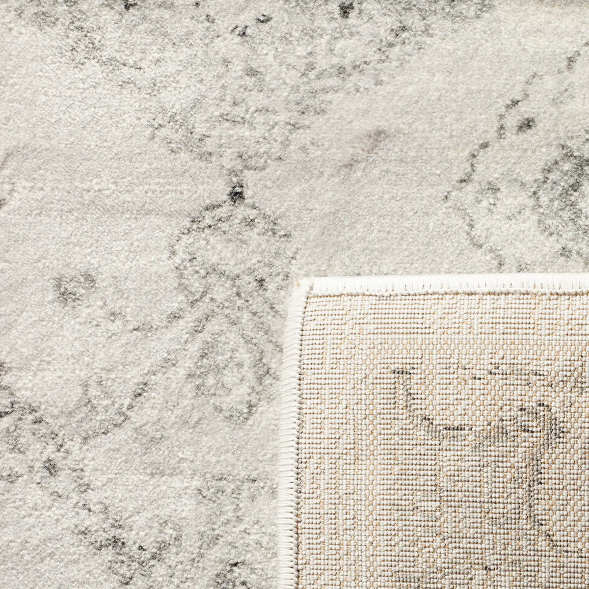 Safavieh Carnegie 4'-0" x 6'-0" Rug in Silver / Grey