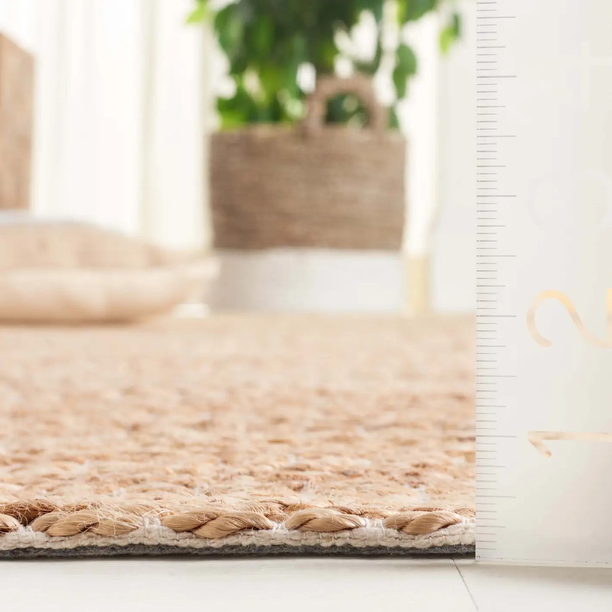 Safavieh Natural Fiber 4'-0" x 6'-0" Rug in Natural / Ivory