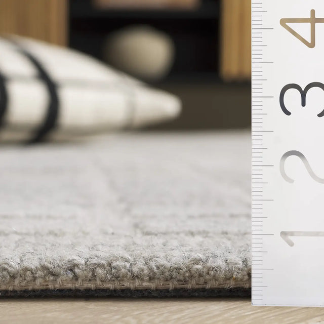 Safavieh Ebony 4'-0" x 6'-0" Rug in Grey