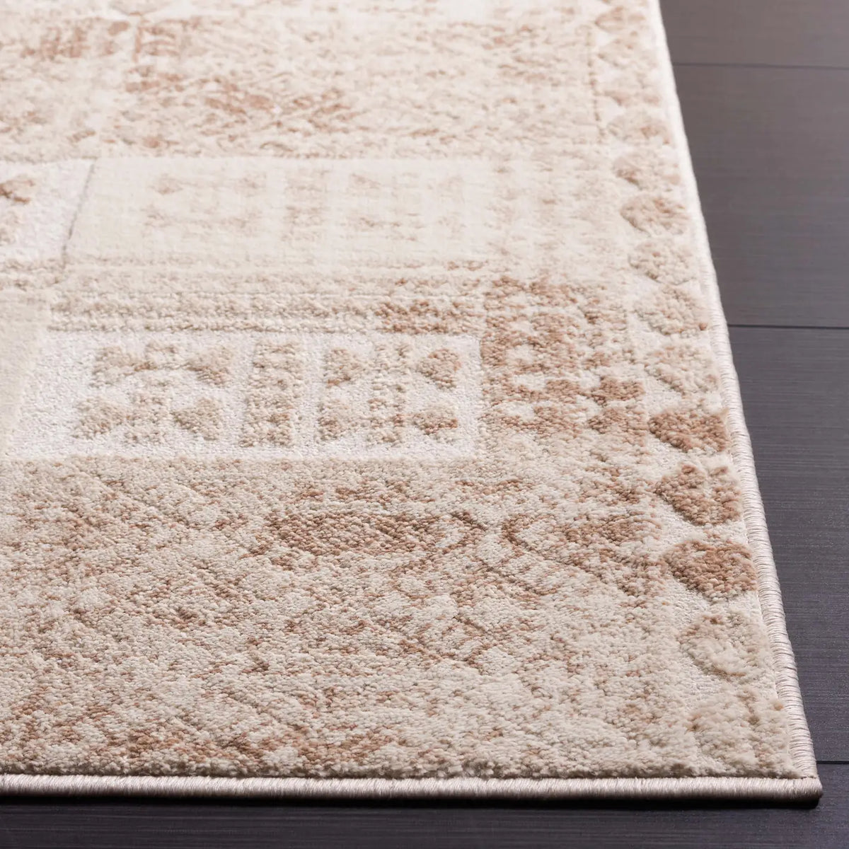 Safavieh Whisper 4'-0" x 6'-0" Rug in Beige / Light Beige