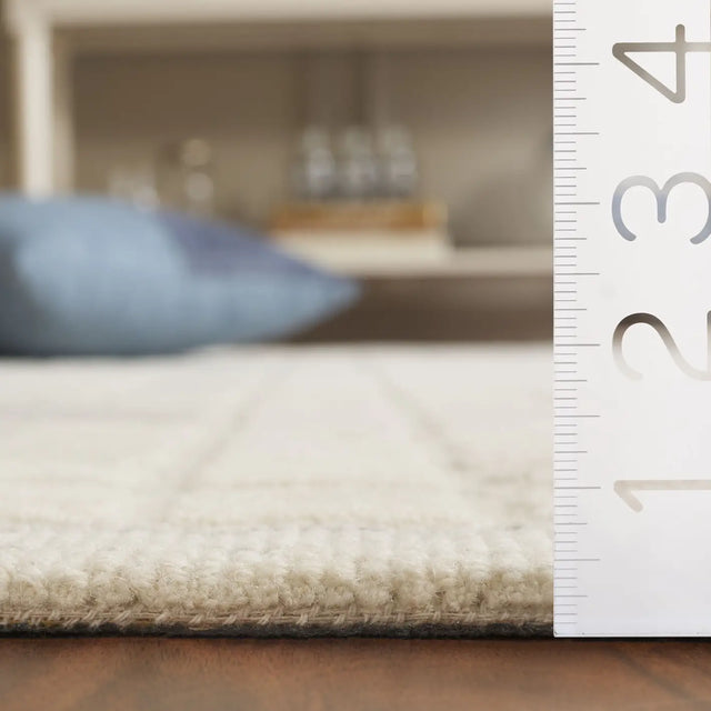 Safavieh Ebony 4'-0" x 6'-0" Rug in Ivory / Grey