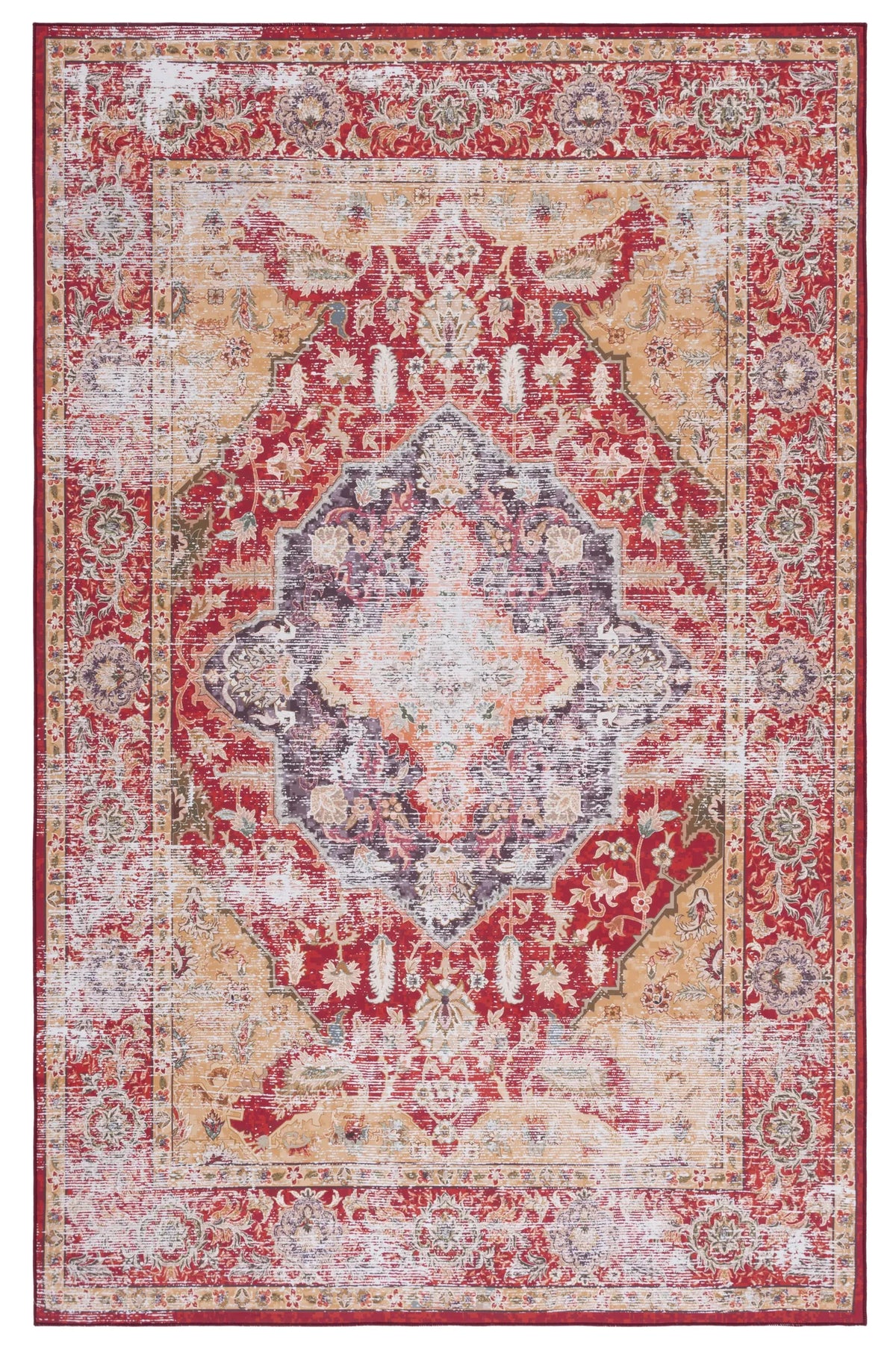 Safavieh Tucson 4'-0" x 6'-0" Rug in Rust / Gold