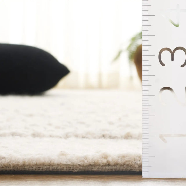 Safavieh Natura 4'-0" x 6'-0" Rug in Ivory / Beige