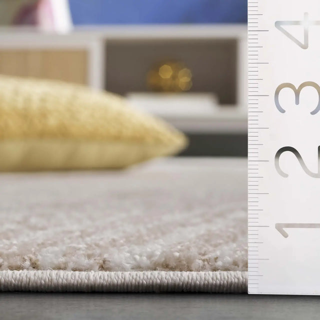 Safavieh Opal 4'-0" x 6'-0" Rug in Ivory / Beige