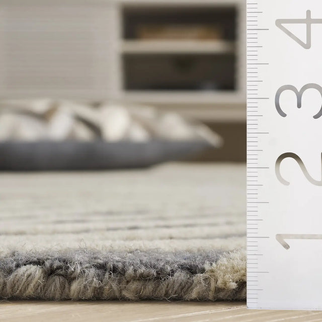 Safavieh Ebony 4'-0" x 6'-0" Rug in Grey / Ivory
