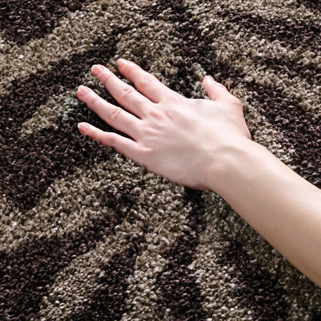Safavieh Florida Shag 4'-0" x 6'-0" Rug in Smoke / Dark Brown