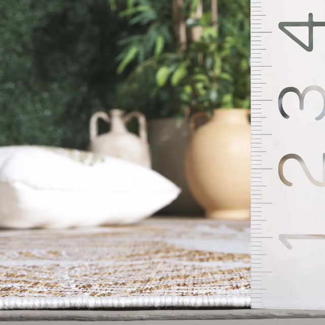 Safavieh Beach House 4'-0" x 6'-0" Rug in Brown / Ivory