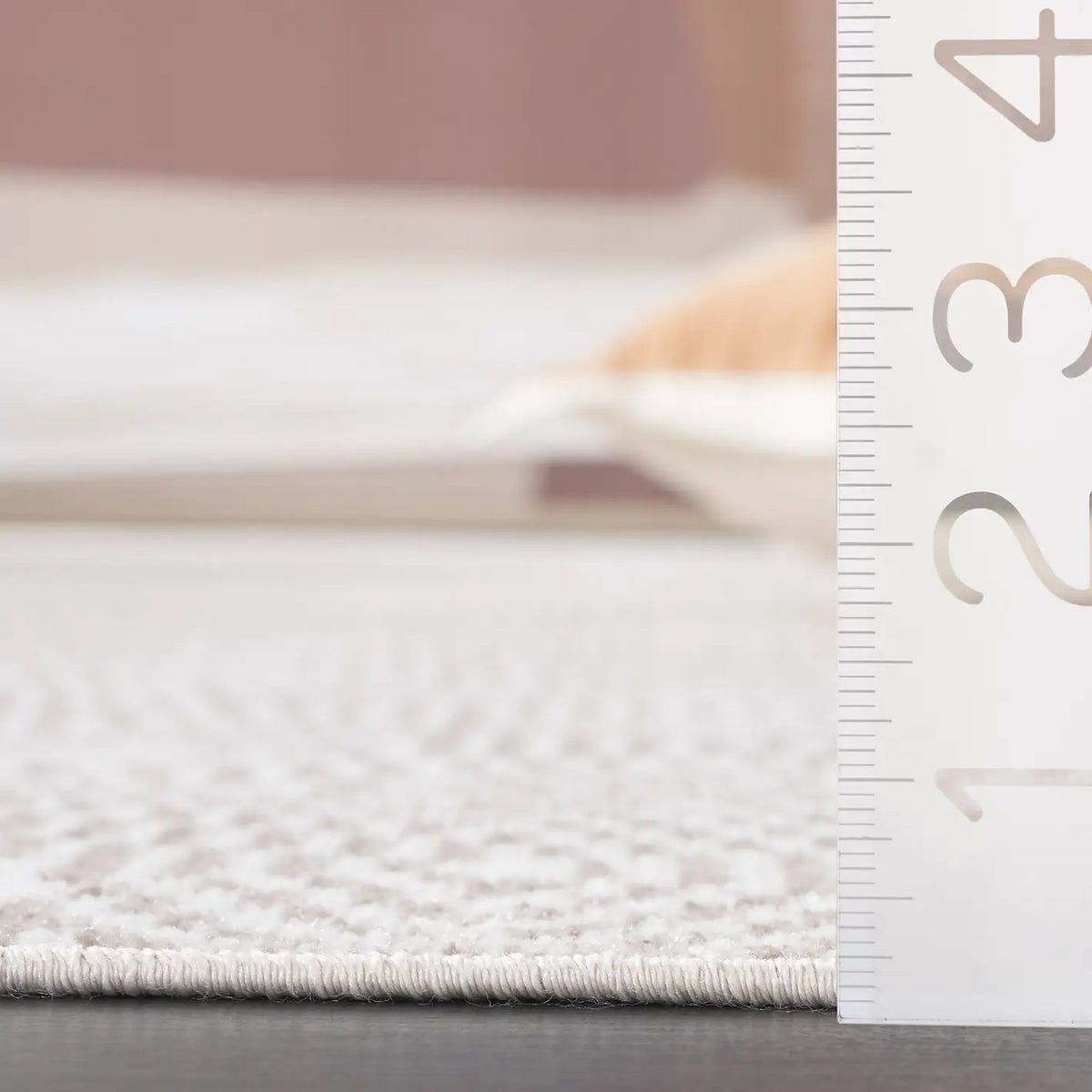 Safavieh Bayside 4'-0" x 6'-0" Rug in Ivory / Light Brown