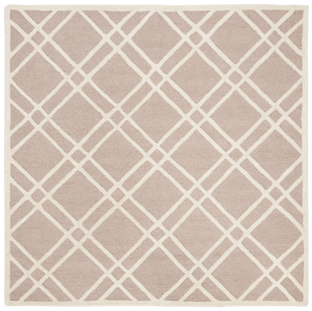 Safavieh Cambridge 6'-0" x 6'-0" Rug in Beige / Ivory