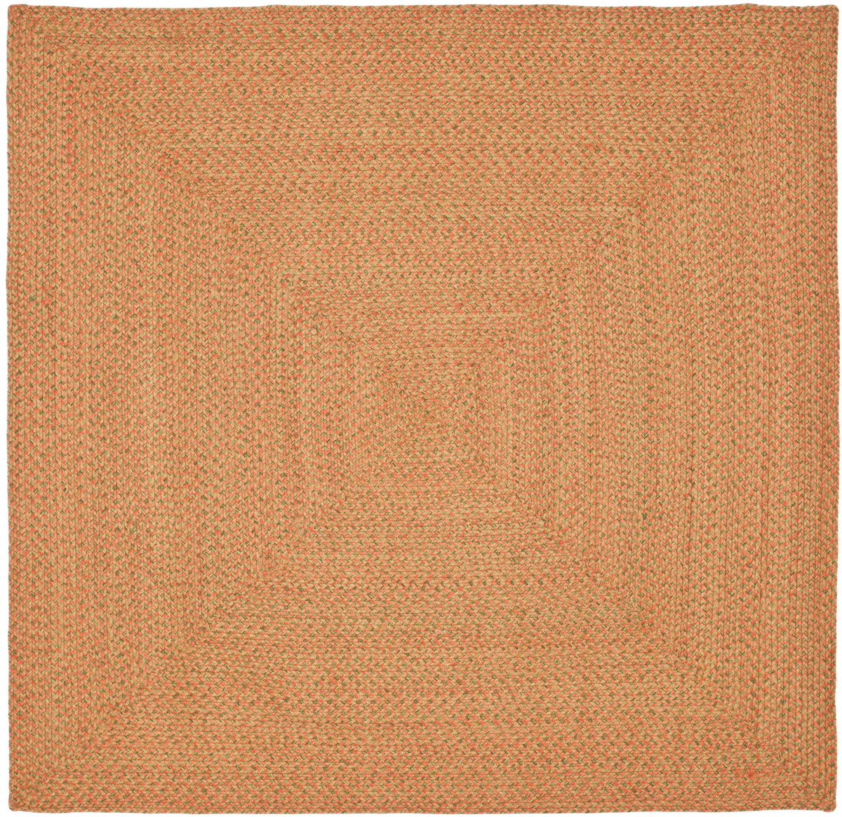 Safavieh Braided 6'-0" x 6'-0" Rug in Multi