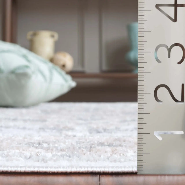 Safavieh Maya 4'-0" x 6'-0" Rug in Ivory / Grey Beige