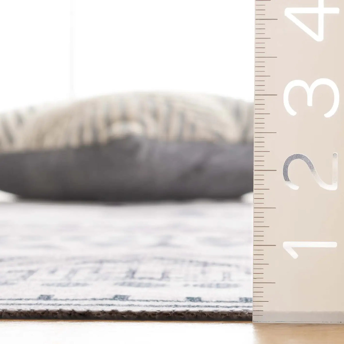 Safavieh Arizona 4'-0" x 6'-0" Rug in Beige / Charcoal