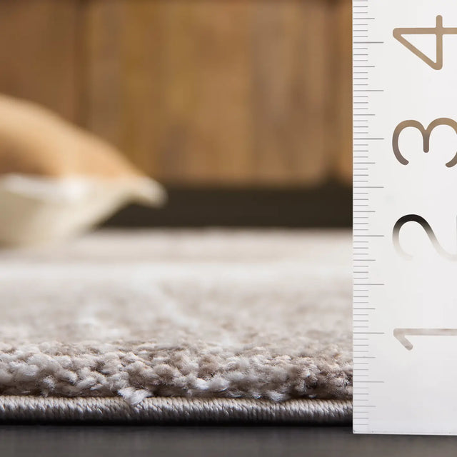 Safavieh Northport 800 4'-0" x 6'-0" Rug in Taupe / Ivory
