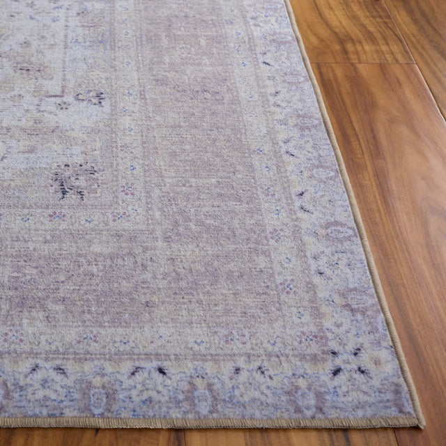 Safavieh Arizona 4'-0" x 6'-0" Rug in Ivory / Beige