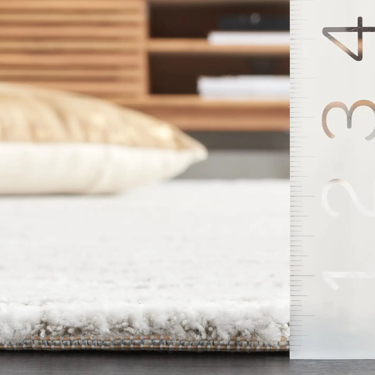 Safavieh Neptune 4'-0" x 6'-0" Rug in Light Grey / Grey