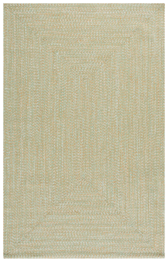 Safavieh Braided 4'-0" x 6'-0" Rug in Light Green / Sage