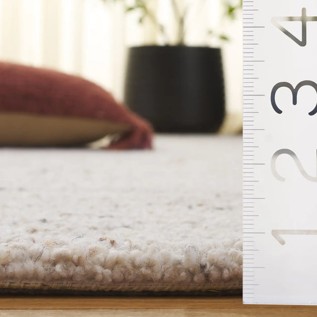 Safavieh Earthly 4'-0" x 6'-0" Rug in Light Beige