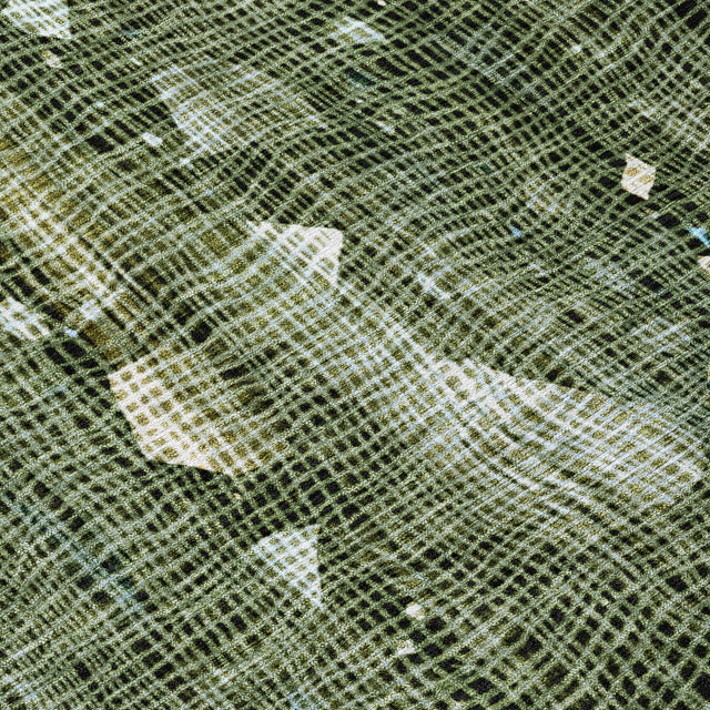 Addison Chantille ACN2092 Abstract Machine Made Transitional Fern Rug