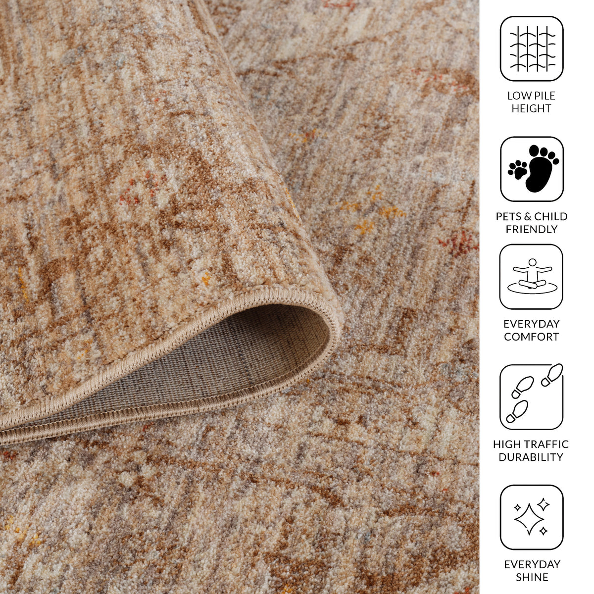 Amer Albany ALB-3 Beige area rug - infographic view