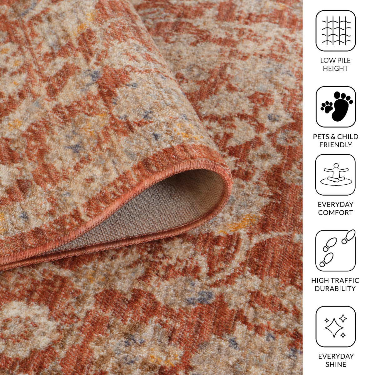 Amer Albany ALB-5 Pink area rug - infographic view