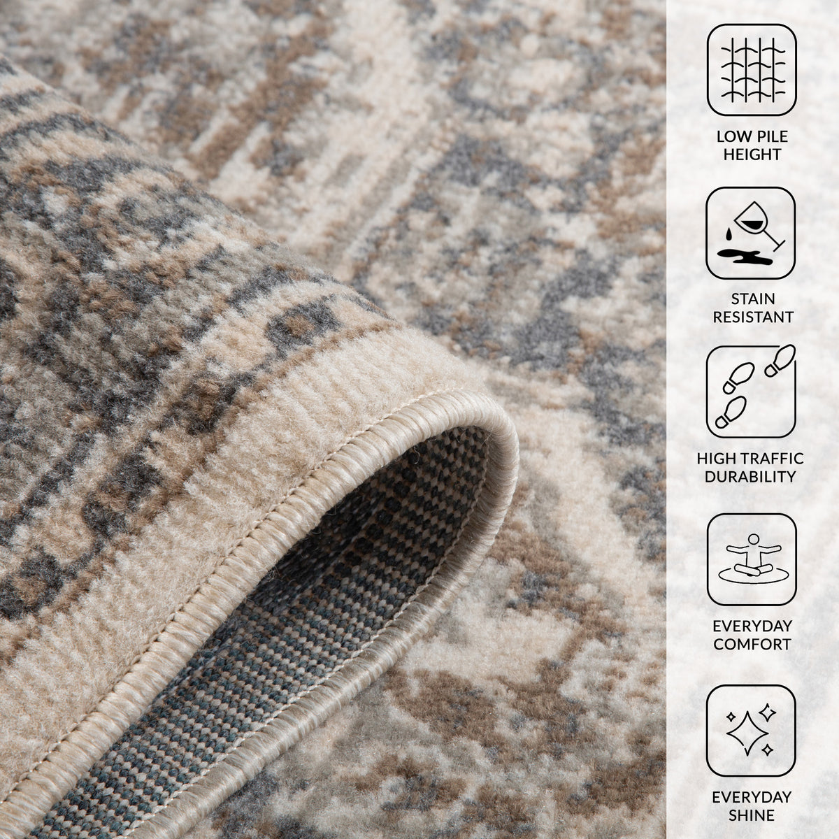 Amer Alpine ALP-11 Light Beige area rug - infographic view