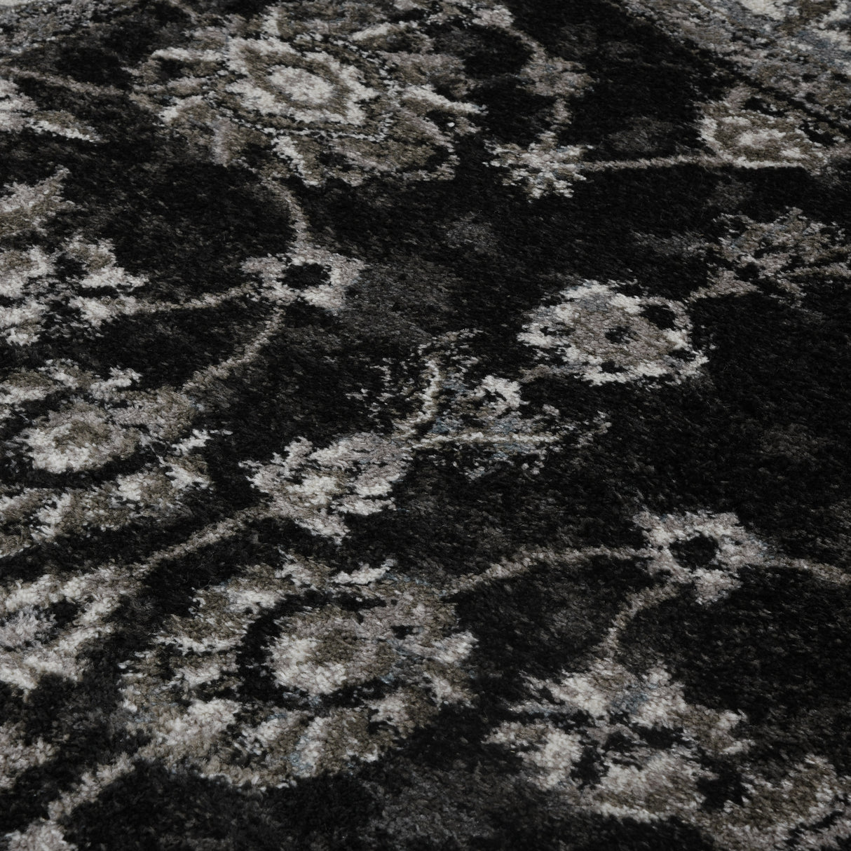 Amer Alexandria Classic Bordered Power-Loom Black/Ivory Area Rug