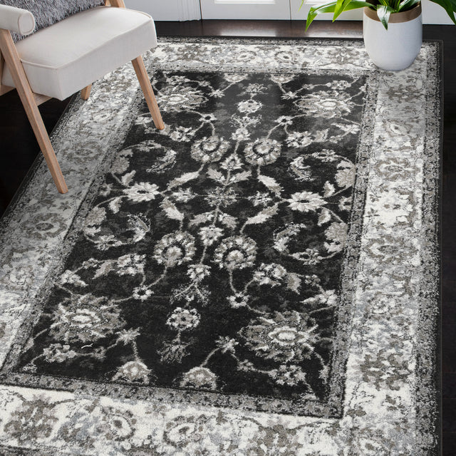 Amer Alexandria Classic Bordered Power-Loom Black/Ivory Area Rug