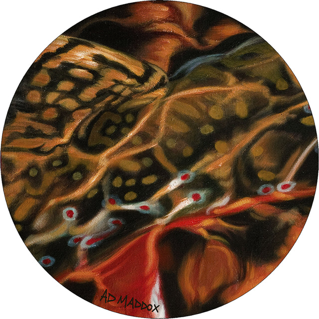 American Dakota AD Maddox Guise of a Brook Paint Rug
