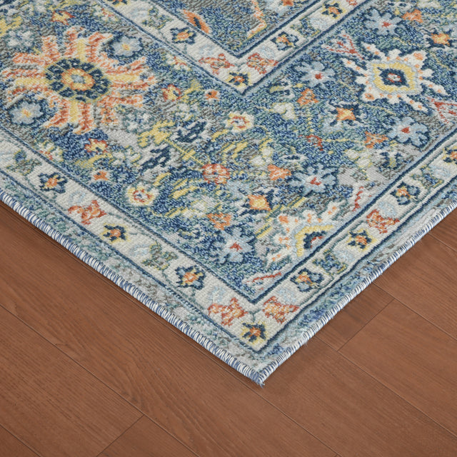 Amer Bohemian Transitional Bordered Indoor-Outdoor Blue Area Rug
