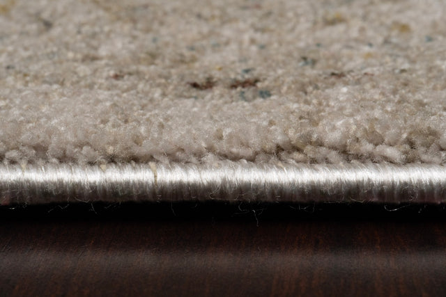 Dynamic Rugs Bloomfield 19606 Power Loomed Traditional Beige/Grey/Cream Rug