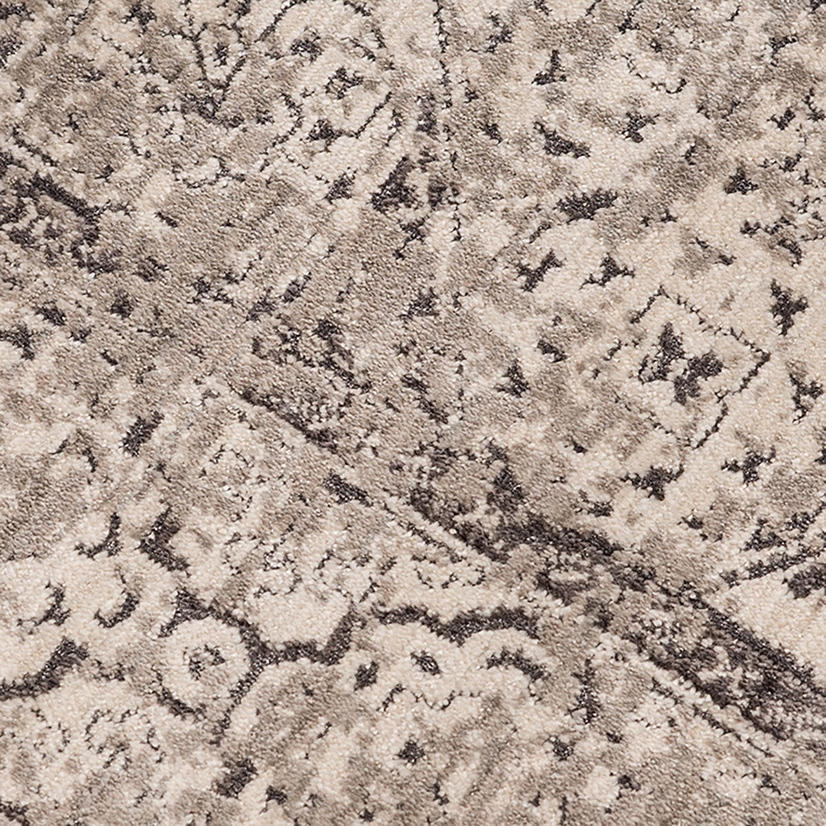 Amer Cambridge CAM-31 Light Gray area rug - close-up view