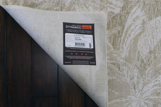 Dynamic Rugs Canyon 15474 Power Loomed Modern Beige/Light Beige Rug