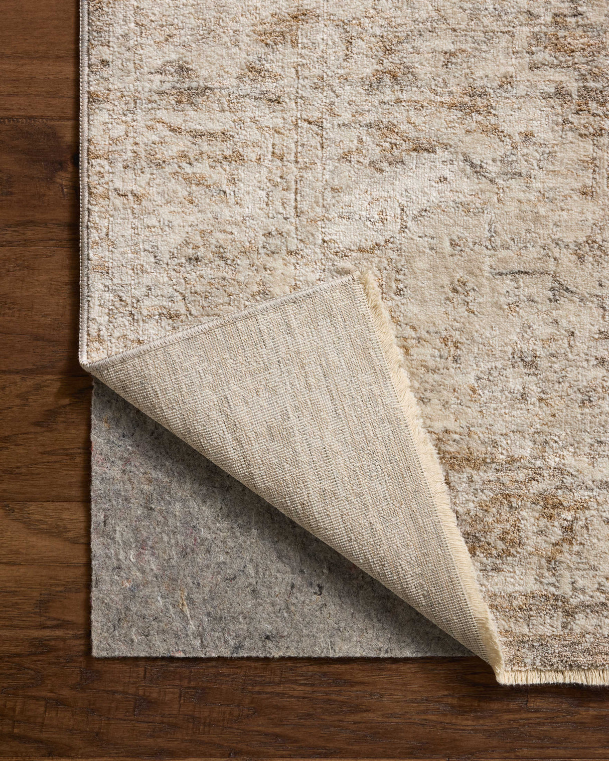 Loloi Clarisse CLS-02 Traditional Power Loomed Smoke, Natural Rug