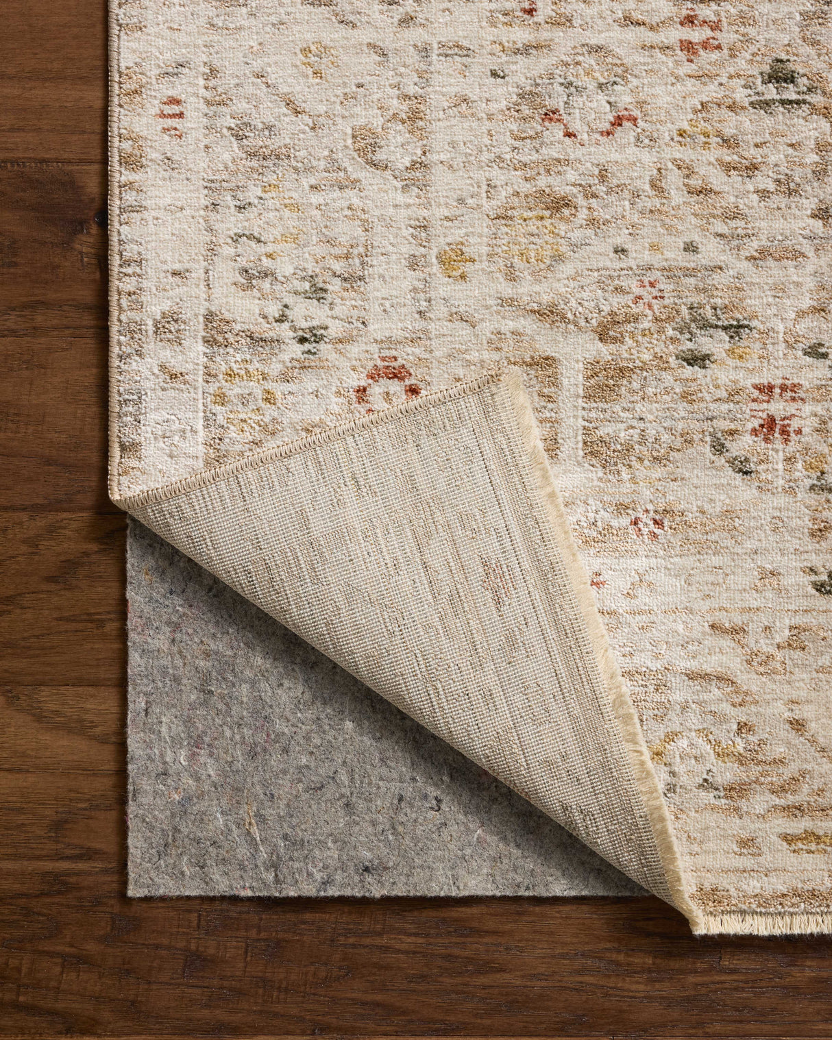 Loloi Clarisse CLS-08 Traditional Power Loomed Natural, Multi Rug