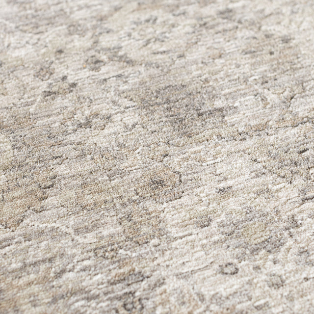 Dalyn Cyprus CY10 Machine Made Traditional Gray Rug